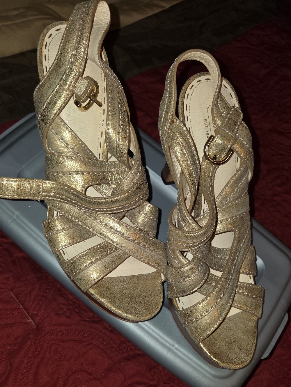 Coach Metallic Gold Strappy Block-Heel Sandals